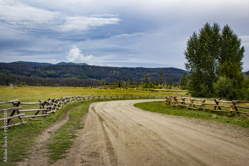 Dirt Road Lined by Fence, Grass, and Trees, in the Colorado Rockies