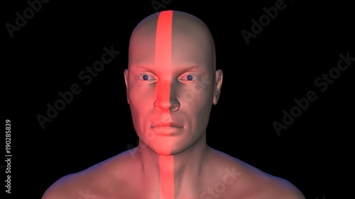Face recognition , biometric verification and scanning ray, light beam on face. Left view