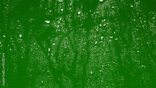 Rain drops on glass. Green screen backround. Chroma key.