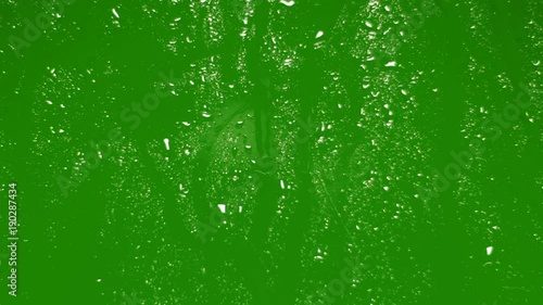 Rain drops on glass. Green screen backround. Chroma key.