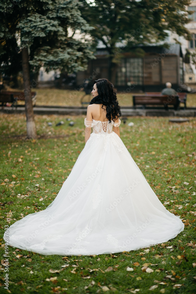 Fototapeta premium beautiful bride in a luxurious wedding dress