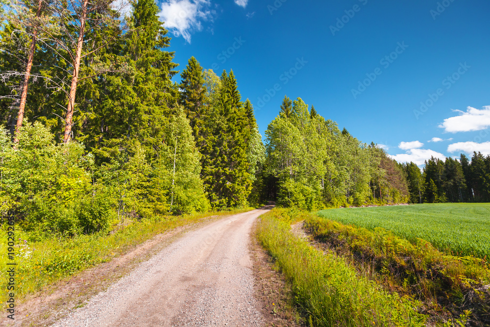 Empty rural road goes near green field