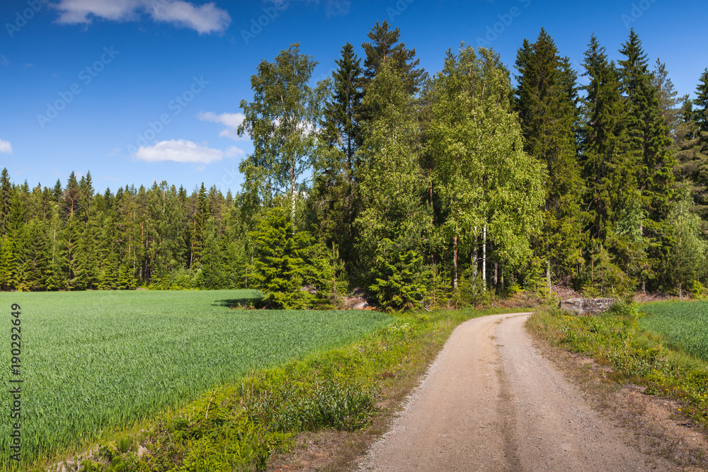 Turning empty rural road, landscape Turning empty rural road, landscape
