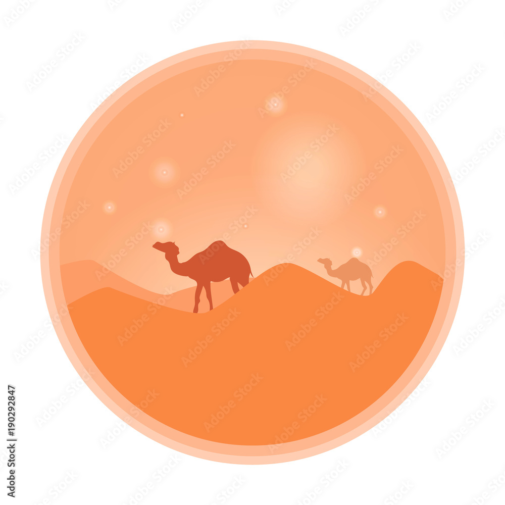 Fototapeta premium Bedouin leading a caravan of camels in the desert at sunset