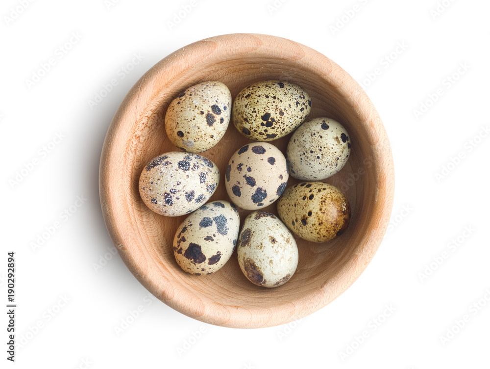 Fresh guail eggs. Fresh guail eggs.