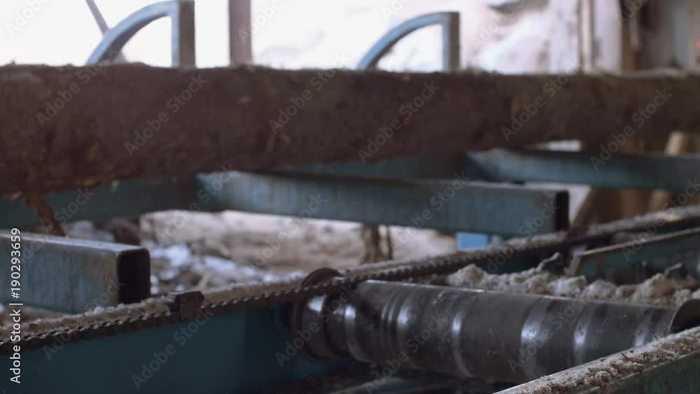 Wood log riding on workbench at sawmill factory, sunny day outside, lots of sawdust, slow motion Wood log riding on workbench at sawmill factory, sunny day outside, lots of sawdust, slow motion