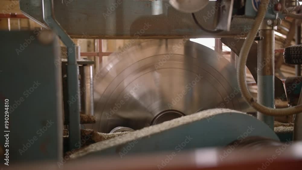 Spinning industrial big circular blade saw at carpenter machine