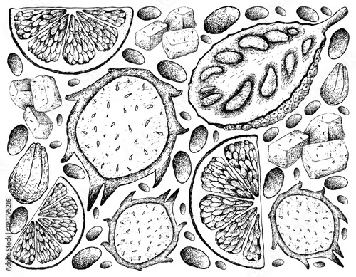 Hand Drawn of Jackfruit, Dragon Fruit and Grapefruit Background