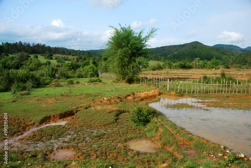 Rice paddy fields near the Plain of Jars archaeological site. The fields conceal a hidden danger from unexploded bombs from the Vietnam War which still kill and injure many to this day.