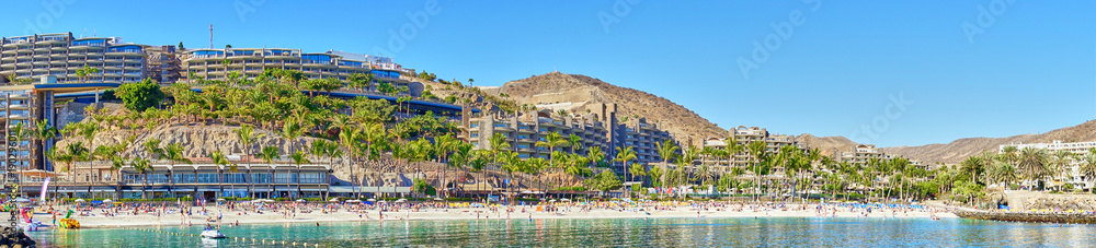 Anfi beach with palm trees and turquoise bay / Gran Canaria in Spain