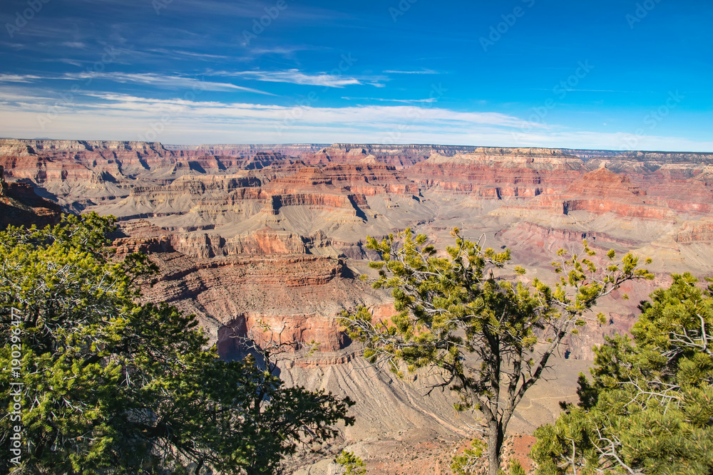 Grand Canyon on a sunny day
