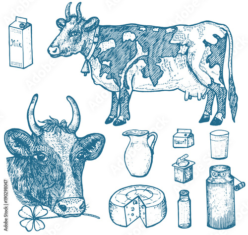 Set of milk food, dairy products, yogurt and cheese, ice cream, bottle, jug, butter and whipped milkshake. cow, can, country or rustic farm, healthy diet. engraved hand drawn in old sketch.