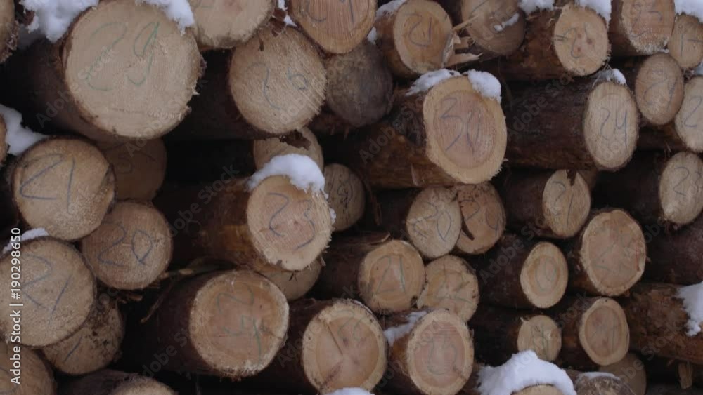 Stack of cutted lumber along road at sawmill covered in white snow on winter cloudy day Stack of cutted lumber along road at sawmill covered in white snow on winter cloudy day