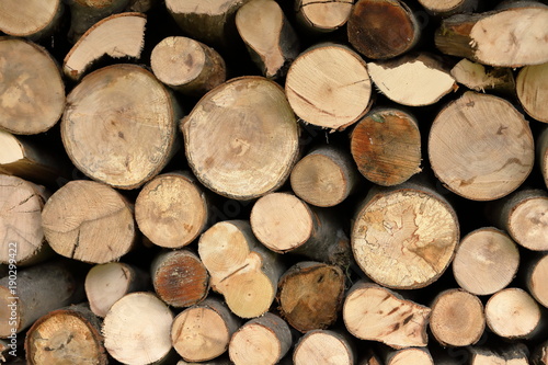 Stack of cup firewood  background