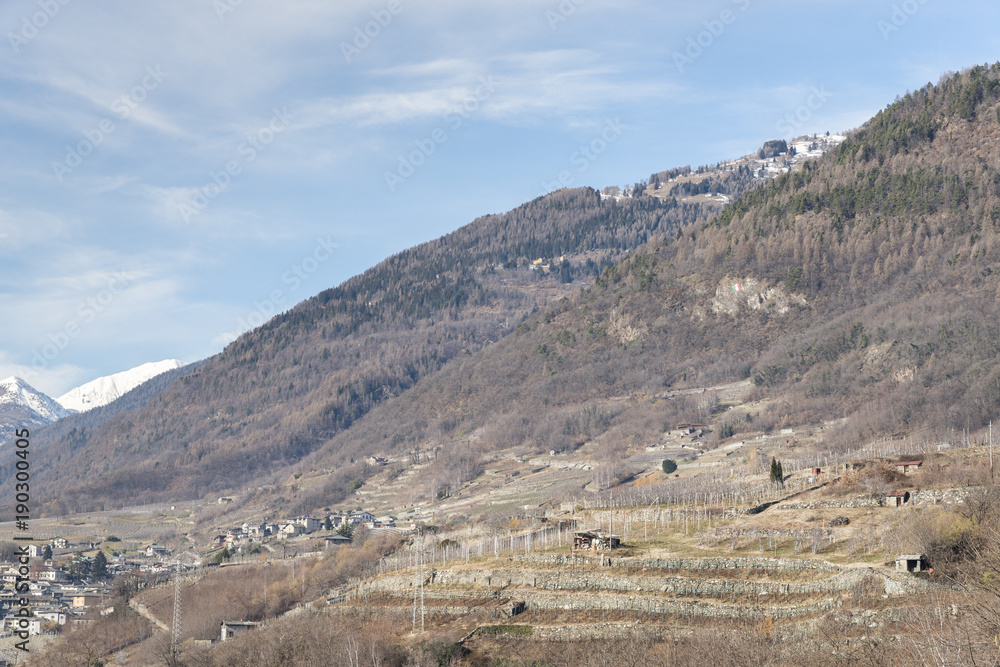 Vineyards surrounding Sondrio, an Italian town and comune located in the heart of the wine-producing Valtellina region