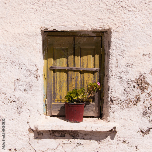 Bilde på lerret Fenster mit Blumentopf