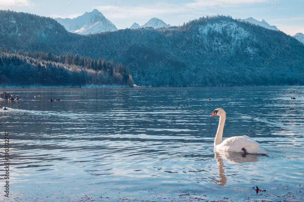 Fototapeta premium Alpsee in Füssen