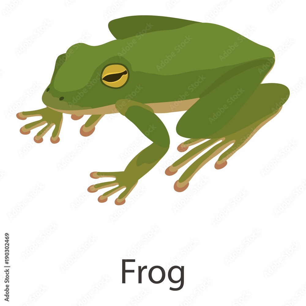 Fototapeta premium Frog icon, isometric style