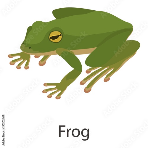 Frog icon, isometric style
