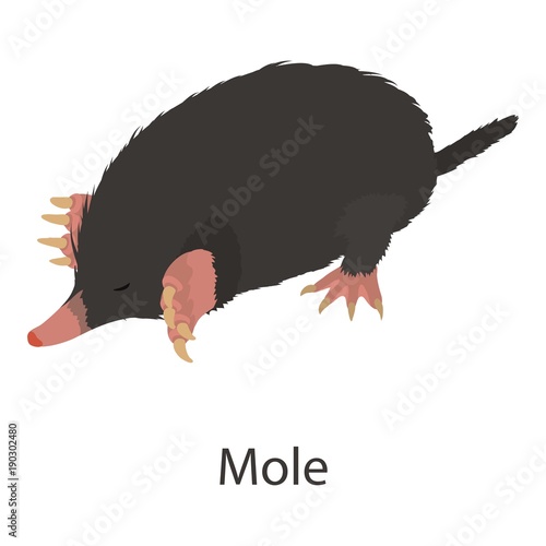 Mole icon, isometric style