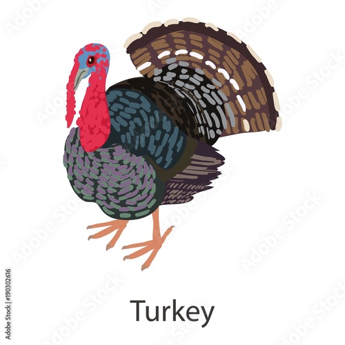 Turkey icon, isometric style