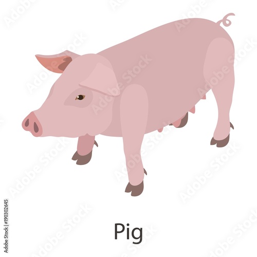 Pig icon, isometric style