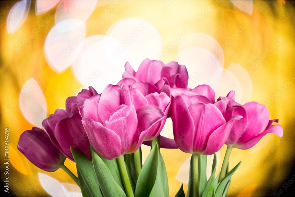 Obraz premium Arrangement.