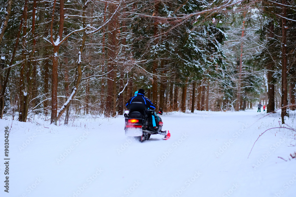 People in winter forest, ride on a snowmobile and skiing.