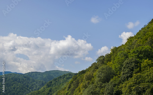 Picturesque mountains coverd with forest