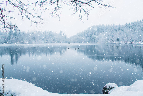 Fototapeta Naklejka Na Ścianę i Meble -  Frozen lake in snowy forest.