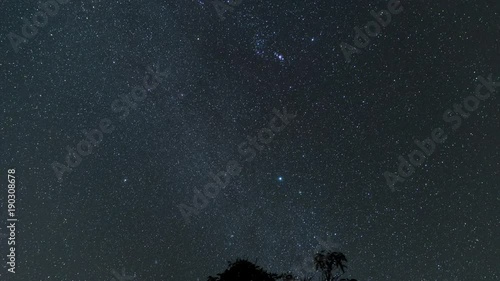4K timelapse of Orion's Constellation rising above a tree in Guakon Village, Tamparuli, Sabah. High ISO footage may contain grains, noise and motion blur. photo