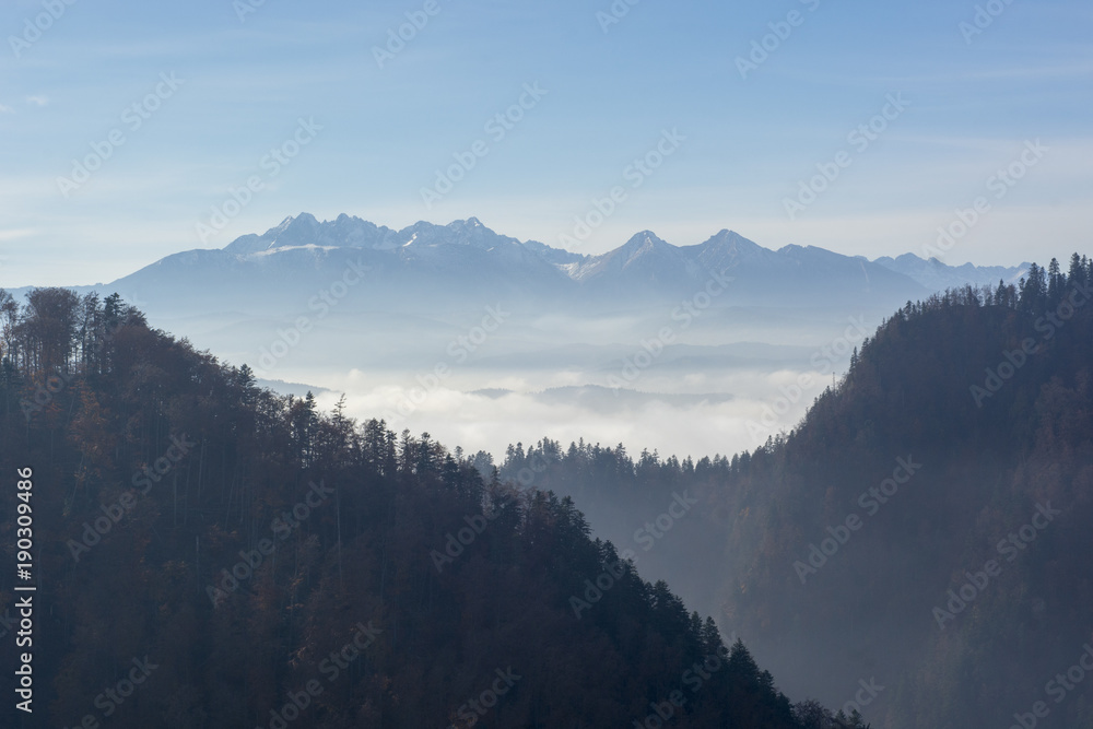 Morning mist in Pieniny mountains in Poland