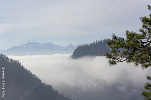 Morning mist in Pieniny mountains in Poland