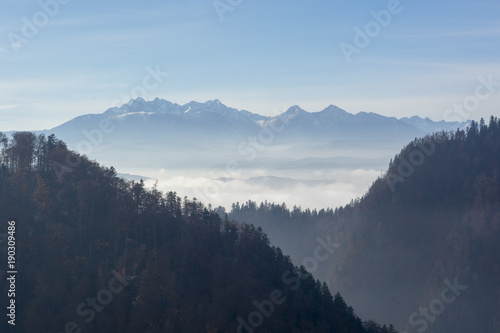 Morning mist in Pieniny mountains in Poland