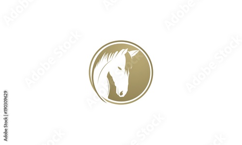 Horse head logo, vector and illustration, using the concept of a horse's head