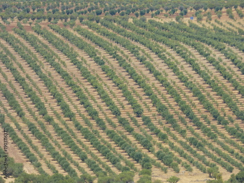 Monsaraz, pueblo bonito de el Alentejo (Portugal)