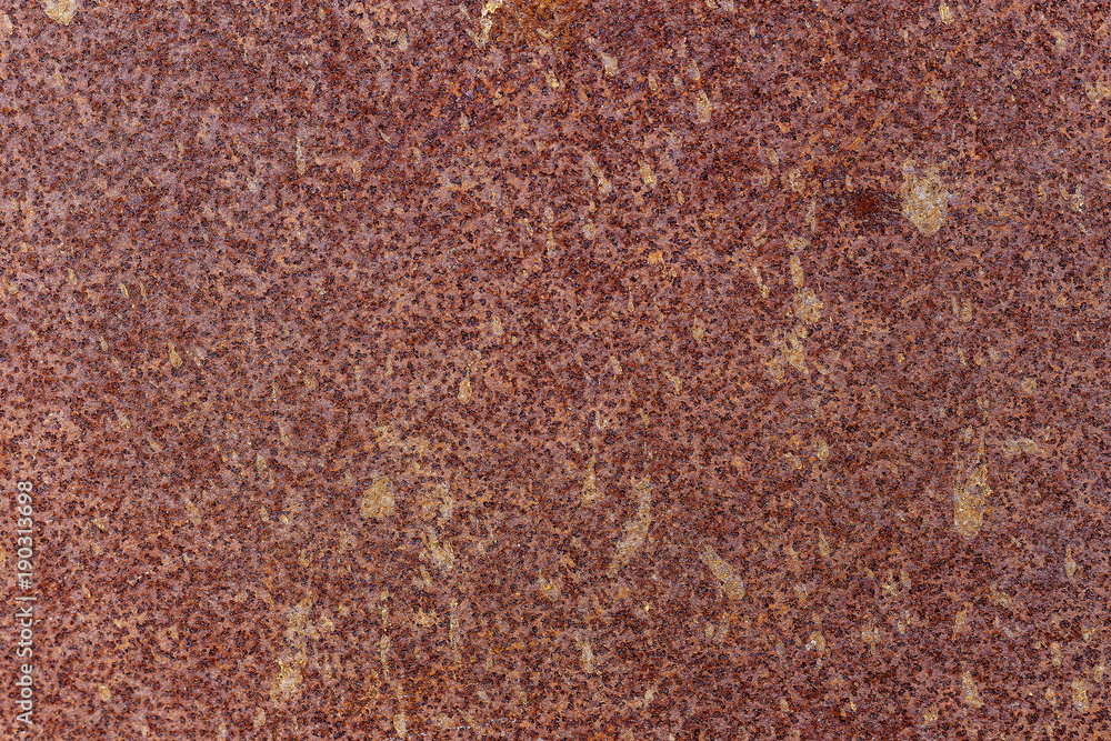 the view of the fragment of the old rusty close-up the view of the fragment of the old rusty close-up
