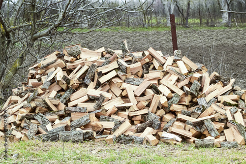A pile of punctured firewood. Harvested wood for the stove.