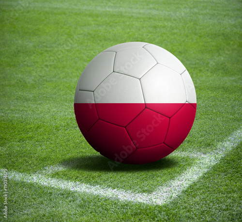 Soccer ball ball with the national flag of POLAND ball with stadium  
