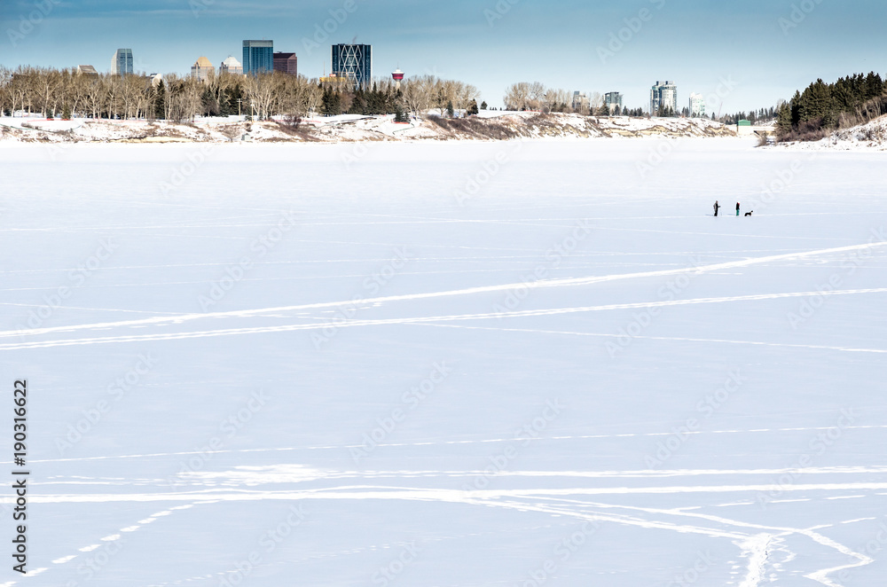 Obraz premium Two people cross-country skiing and a dog in the city