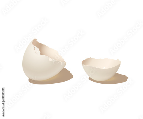 Broken empty eggshell isolated on white background. Vector realistic illustration.