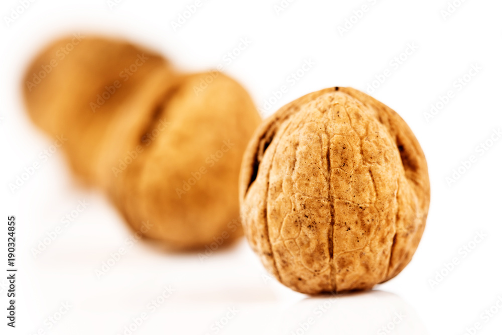 Walnut isolated on white Walnut isolated on white
