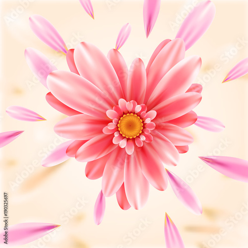 Gerbera flower heart vector card.