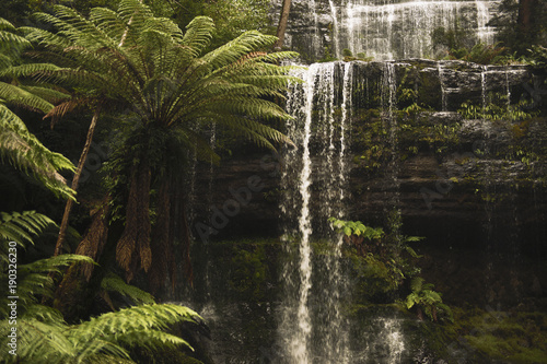Beautiful Russell Falls in Mount Field National Park  Tasmania  Australia.