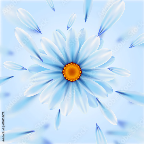Illustration camomile flowers vector illustration