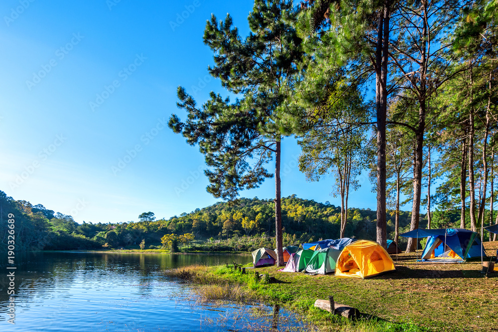Naklejka premium Camping tents under pine trees with sunlight at Pang Ung lake, Mae Hong Son in Thailand.
