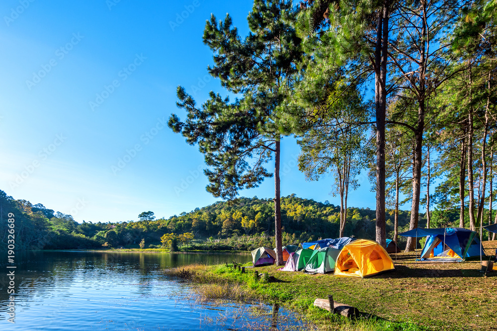 Obraz premium Camping tents under pine trees with sunlight at Pang Ung lake, Mae Hong Son in Thailand.