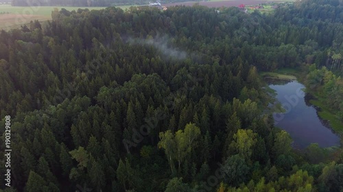 flying above green forest at summer time photo