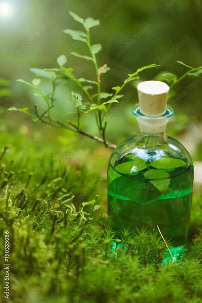 Herbal natural extract. green tincture in a bottle on a blurred forest background. medicinal herbal natural tincture. magic potion.Homeopathy and alternative medicine Herbal natural extract. green tincture in a bottle on a blurred forest background. medicinal herbal natural tincture. magic potion.Homeopathy and alternative medicine