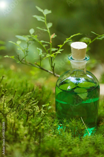 Herbal natural extract.  green tincture in a bottle on a blurred forest background. medicinal herbal natural tincture. magic potion.Homeopathy and alternative medicine
